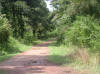 cross country
